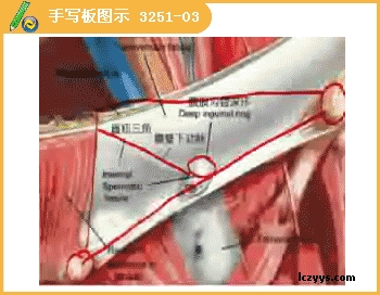 5.gif 5.gif